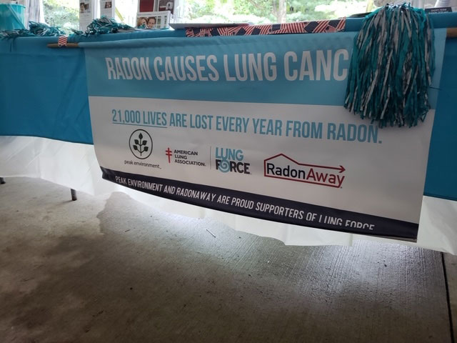 Lung Force Walk Detroit